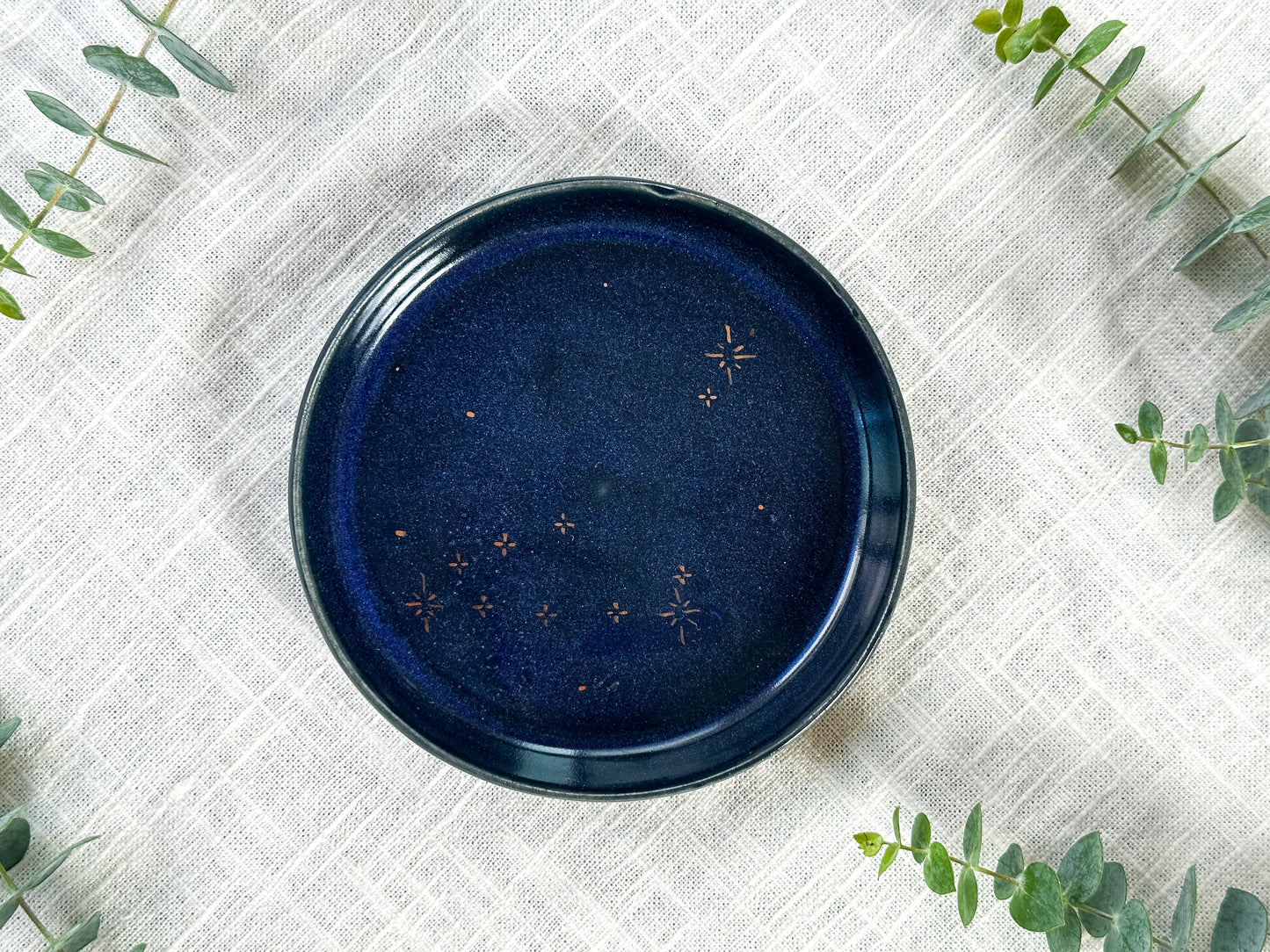 capricorn plate