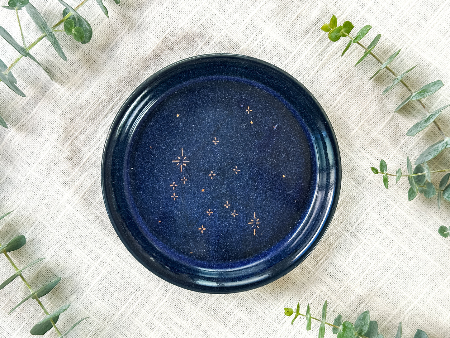 aquarius plate
