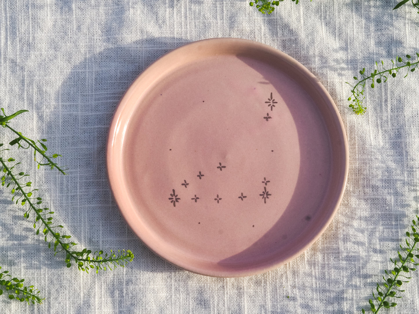 capricorn plate
