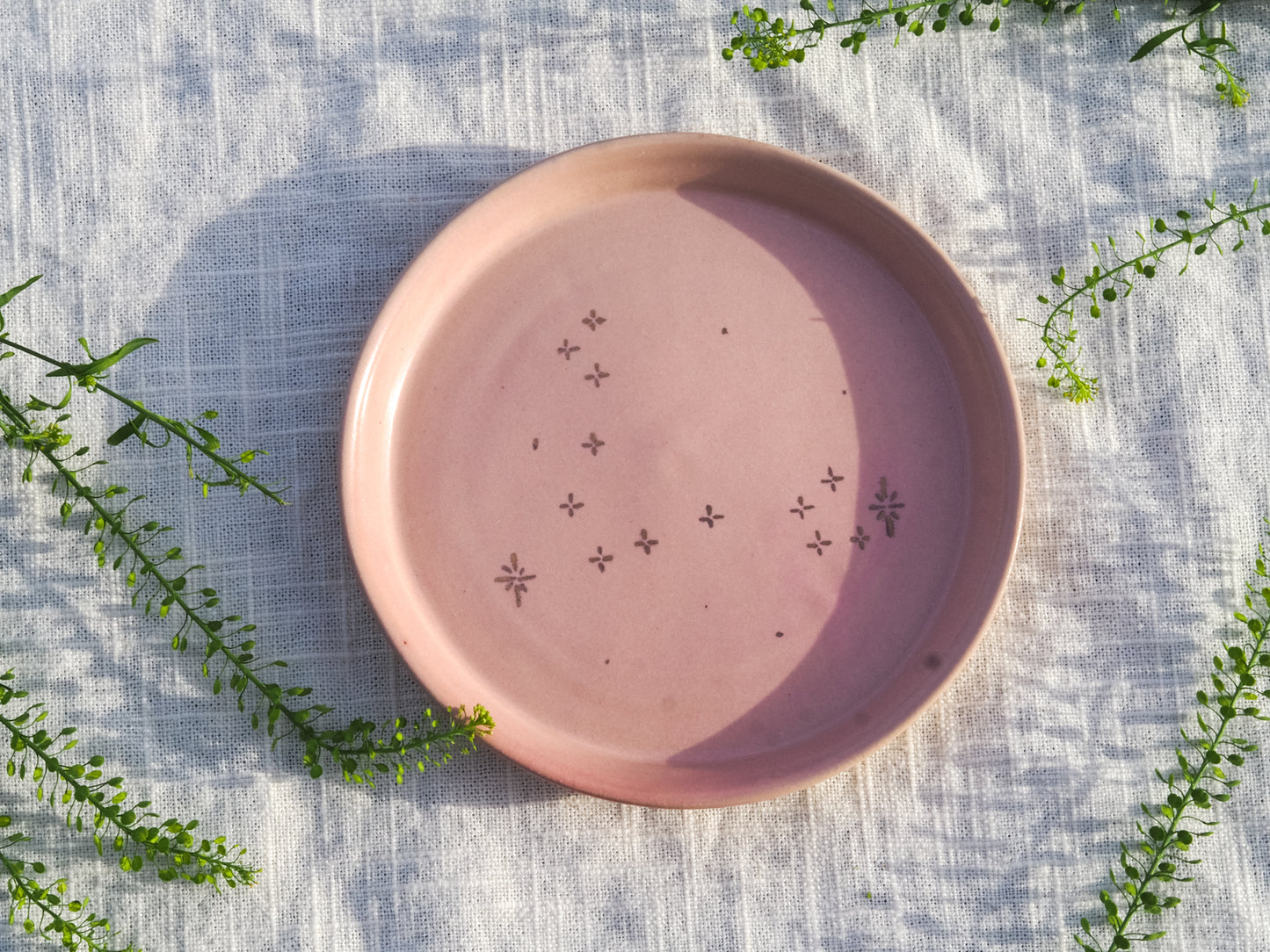 pisces plate
